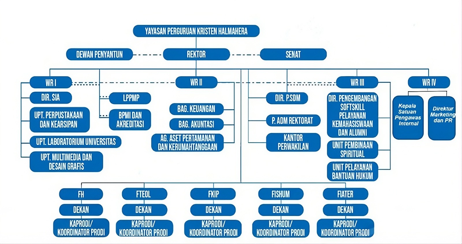 Struktur Organisasi Universitas Halmahera